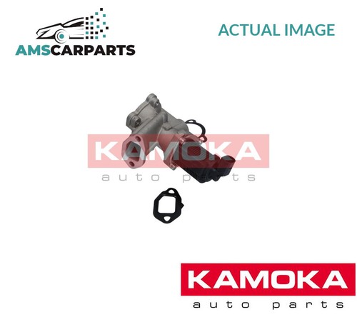 Exhaust gas recirculation - exhaust,